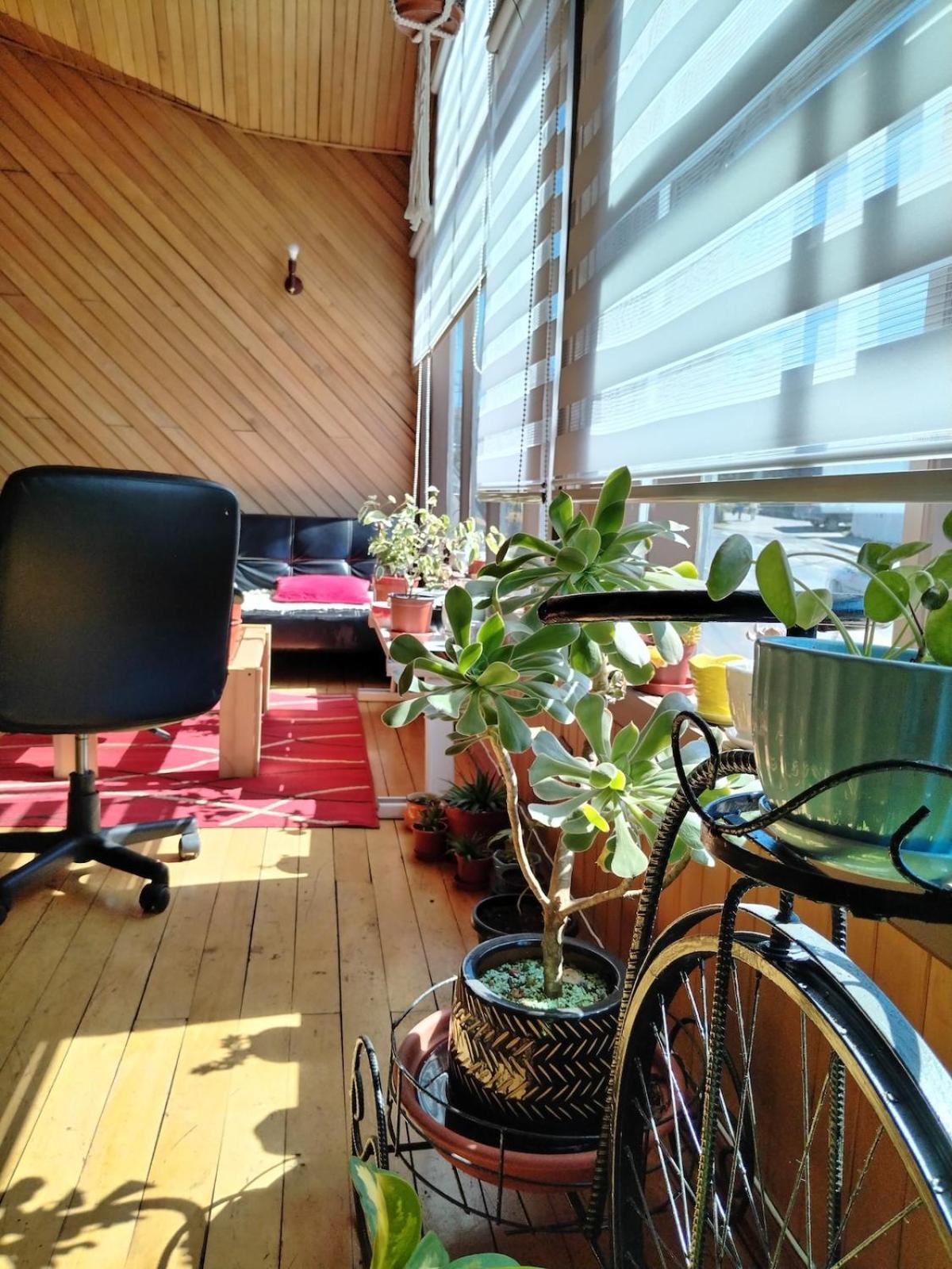 Habitacion Manio كاسترو المظهر الخارجي الصورة